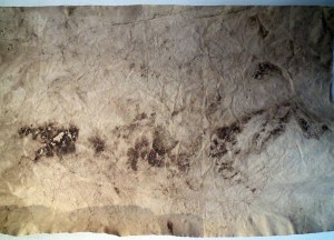 Katharine Fry:  I tried to pull time out of the water, detail