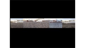 Rachel Gomme: Flotsam (Tideshift), 5 screen video, 30mins